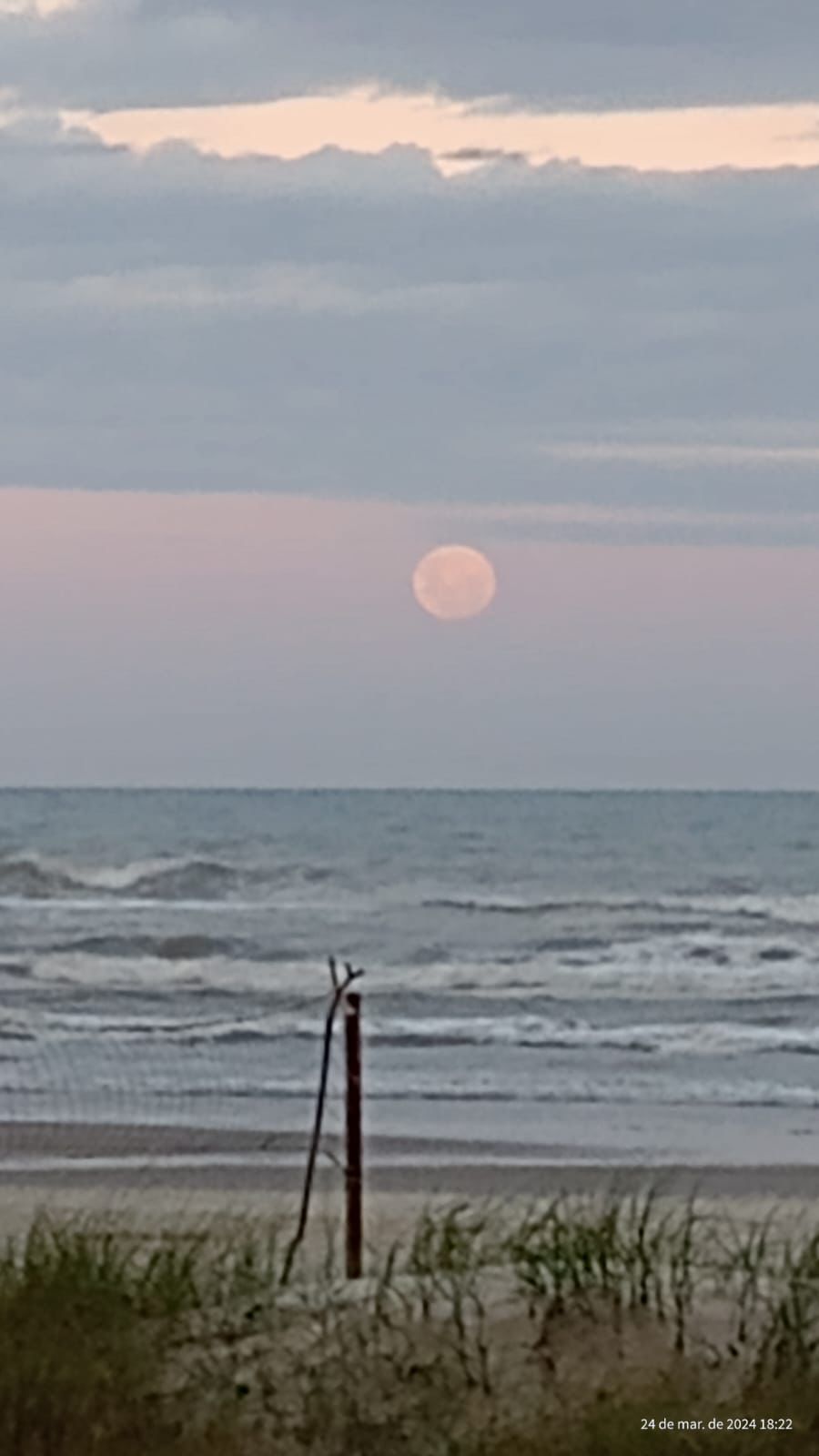 WhatsApp Image 2024-07-09 at 14.36.35.jpeg